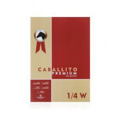 BLOCK 1/4W CABALLITO PREM.50X35 10H.180g