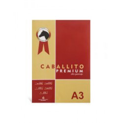 BLOCK A3 CABALLITO PREM. 10H.180GRS