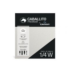 BLOCK 1/4W CAB.&CANSON 50X35CM 10H.180g