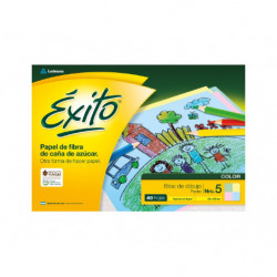 BLOCK N°5 PASTEL EXITO 80g 40H