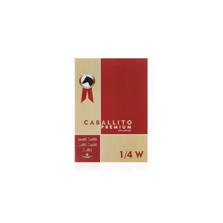 BLOCK 1/4W CABALLITO PREM.50X35 10H.180g