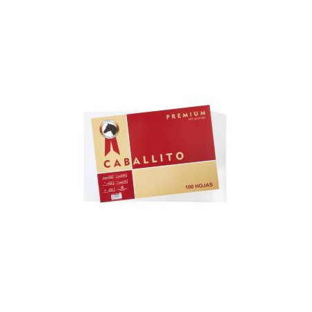 PAPEL CABAL. PREM.180GRS 25X35CMSPTE.100
