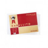 PAPEL CABAL. PREM.180GRS 25X35CMSPTE.100