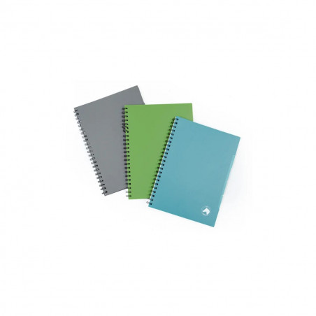 CUADERNO CABALLITO
