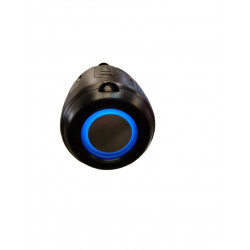 PARLANTES BLUETOOTH