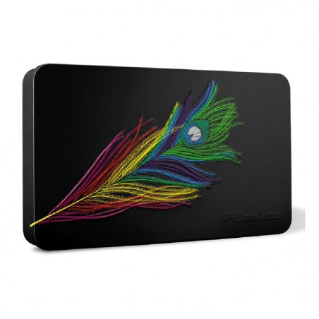 COLORES SUPERSOFT EN LATA POR 100 UNIDADES