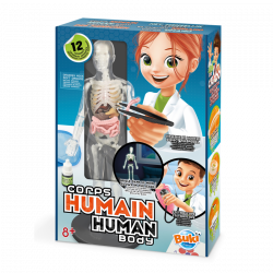 EL CUERPO HUMANO